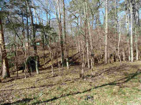 157 Simmons Trl, Royal, AR 71968 photo 17