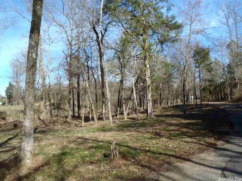 157 Simmons Trl, Royal, AR 71968 photo 6