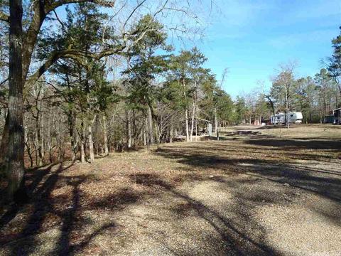 157 Simmons Trl, Royal, AR 71968 photo 9