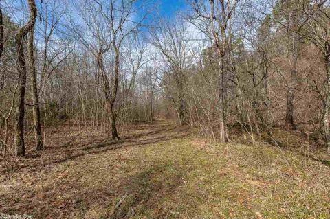 1339 Sulpher Springs Rd, Norman, AR 71960 photo 39