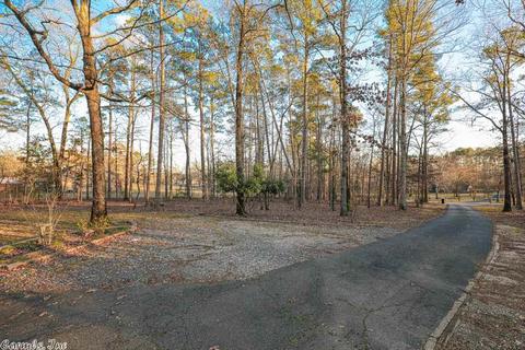 1200 Lawrence Ln, Benton, AR 72019 photo 39