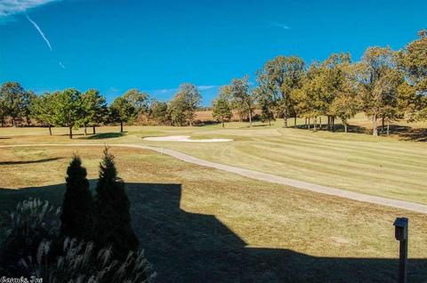 620 Firethorne Ave, Melbourne, AR 72556 photo 17