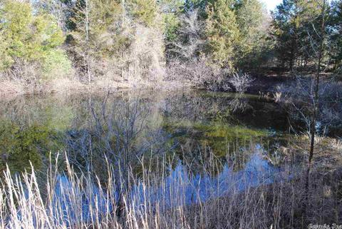 311 Pumpkin Center Cir, Quitman, AR 72131 photo 20