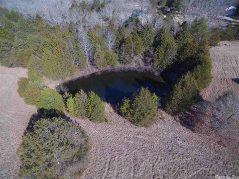 311 Pumpkin Center Cir, Quitman, AR 72131 photo 11