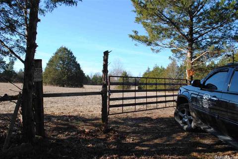 311 Pumpkin Center Cir, Quitman, AR 72131 photo 14