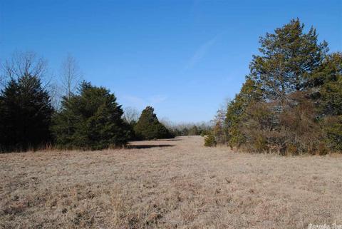 311 Pumpkin Center Cir, Quitman, AR 72131 photo 18
