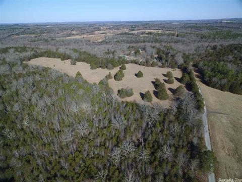 311 Pumpkin Center Cir, Quitman, AR 72131 photo 7