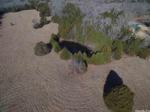 311 Pumpkin Center Cir, Quitman, AR 72131 photo 10