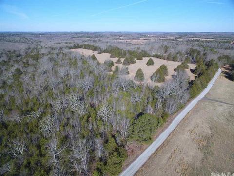 311 Pumpkin Center Cir, Quitman, AR 72131 photo 5