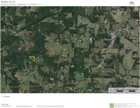 311 Pumpkin Center Cir, Quitman, AR 72131 photo 26