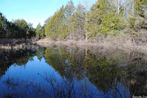 311 Pumpkin Center Cir, Quitman, AR 72131 photo 22