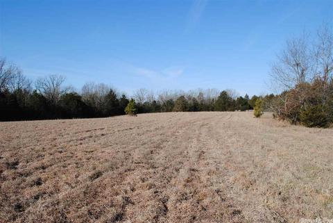 311 Pumpkin Center Cir, Quitman, AR 72131 photo 24