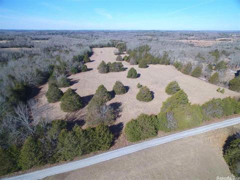 311 Pumpkin Center Cir, Quitman, AR 72131 photo 1