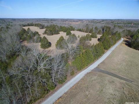 311 Pumpkin Center Cir, Quitman, AR 72131 photo 9