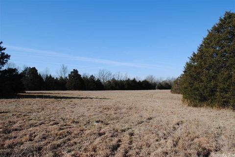 311 Pumpkin Center Cir, Quitman, AR 72131 photo 17