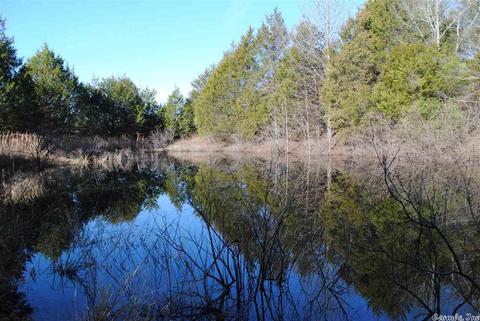 311 Pumpkin Center Cir, Quitman, AR 72131 photo 21