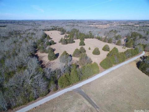 311 Pumpkin Center Cir, Quitman, AR 72131 photo 4