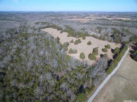 311 Pumpkin Center Cir, Quitman, AR 72131 photo 6