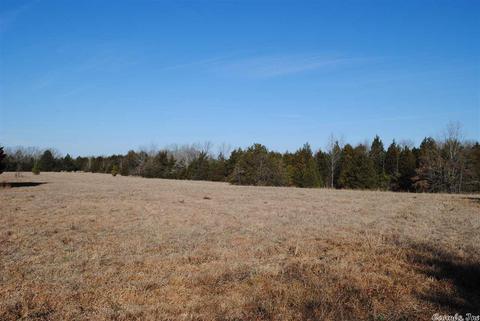 311 Pumpkin Center Cir, Quitman, AR 72131 photo 19