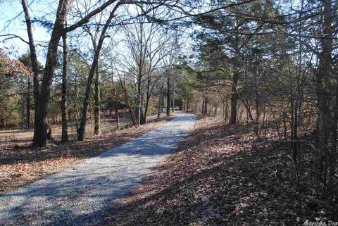 311 Pumpkin Center Cir, Quitman, AR 72131 photo 13