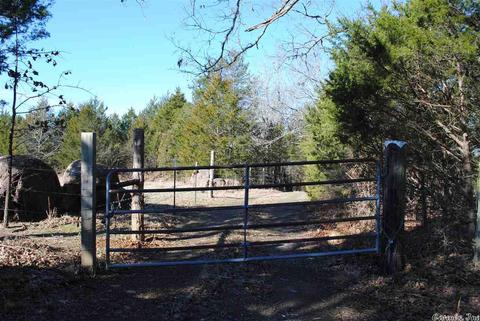 311 Pumpkin Center Cir, Quitman, AR 72131 photo 15
