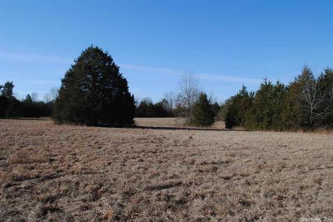 311 Pumpkin Center Cir, Quitman, AR 72131 photo 16