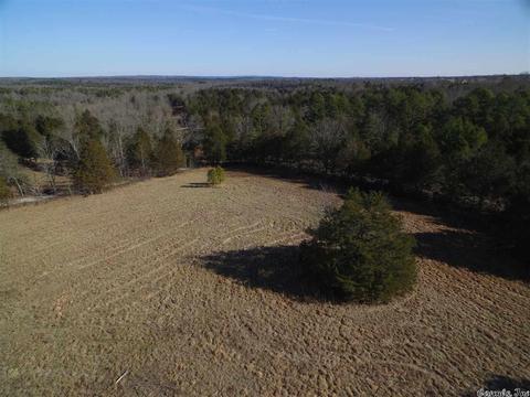 311 Pumpkin Center Cir, Quitman, AR 72131 photo 3