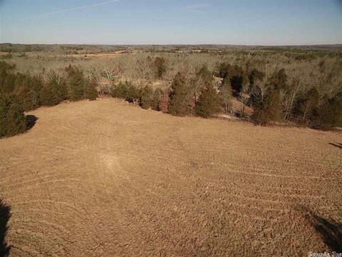 311 Pumpkin Center Cir, Quitman, AR 72131 photo 2