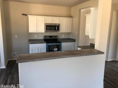 6540 Amalie Dr, Alexander, AR 72002 photo 4