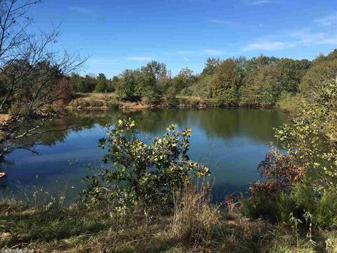403 Walmsley Rd, Bald Knob, AR 72010 photo 20