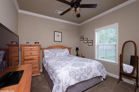 290 Reuben Dr, Alexander, AR 72002 photo 34