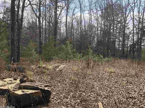 109 Stringfellow Ln, Pangburn, AR 72121 photo 13