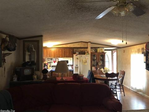 109 Stringfellow Ln, Pangburn, AR 72121 photo 23