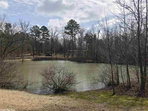 109 Stringfellow Ln, Pangburn, AR 72121 photo 17