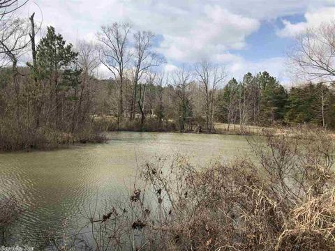 109 Stringfellow Ln, Pangburn, AR 72121 photo 5