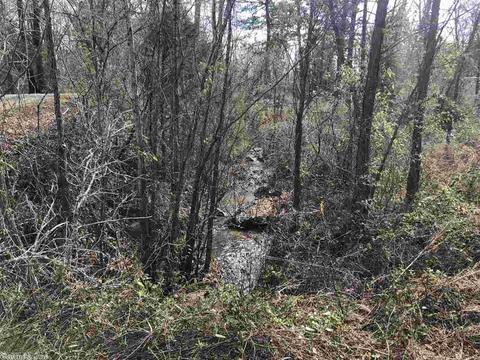109 Stringfellow Ln, Pangburn, AR 72121 photo 16