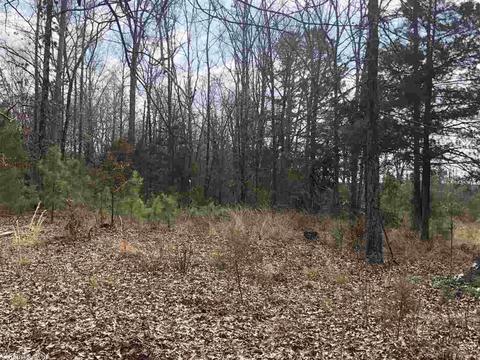 109 Stringfellow Ln, Pangburn, AR 72121 photo 14