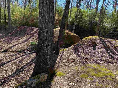 19 Evergreen, Mount Ida, AR 71957 photo 4