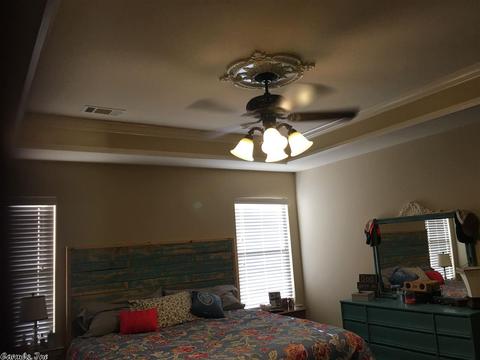 15 Chesapeake Dr, Austin, AR 72007 photo 19