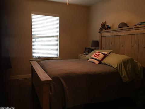 15 Chesapeake Dr, Austin, AR 72007 photo 26
