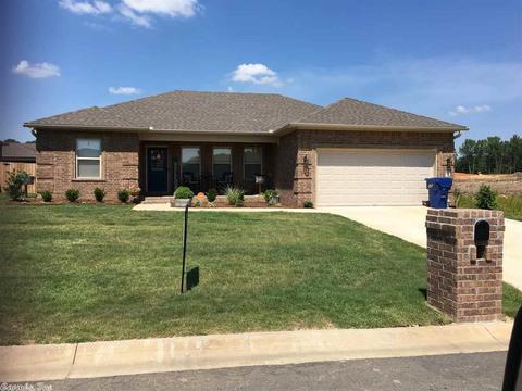 15 Chesapeake Dr, Austin, AR 72007 photo 37