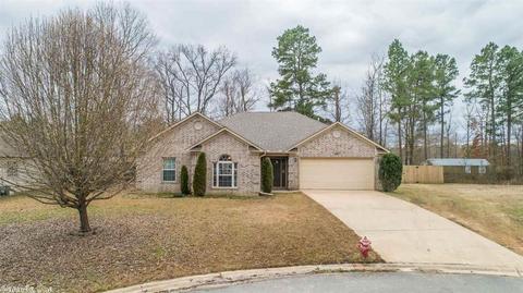 1027 Katy Ln, Alexander, AR 72002 photo 36