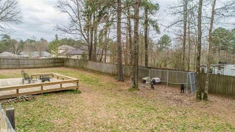 1027 Katy Ln, Alexander, AR 72002 photo 26