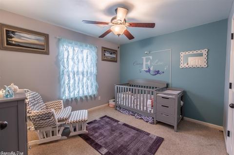 1027 Katy Ln, Alexander, AR 72002 photo 16