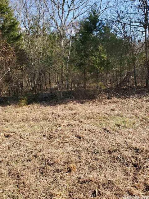 431 Old Springfield Rd, Quitman, AR 72131 photo 2