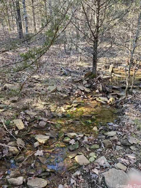 431 Old Springfield Rd, Quitman, AR 72131 photo 6