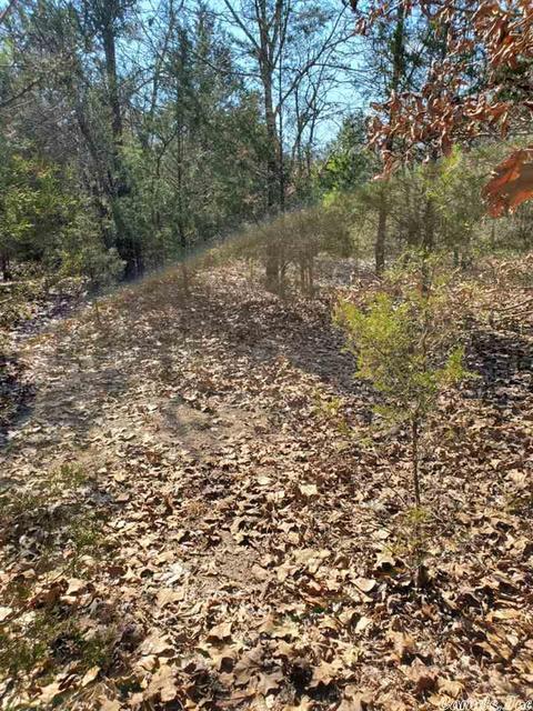 431 Old Springfield Rd, Quitman, AR 72131 photo 7