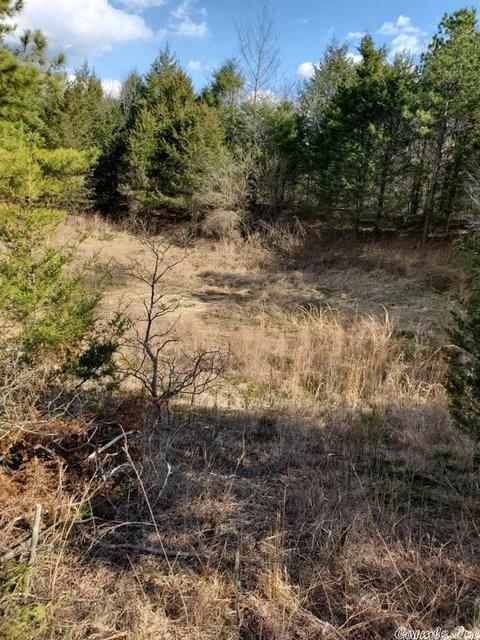 431 Old Springfield Rd, Quitman, AR 72131 photo 5