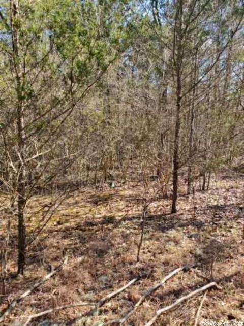 431 Old Springfield Rd, Quitman, AR 72131 photo 8
