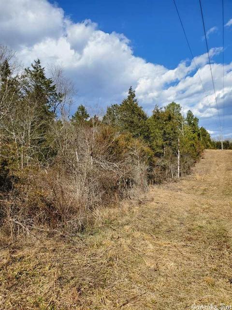 431 Old Springfield Rd, Quitman, AR 72131 photo 3